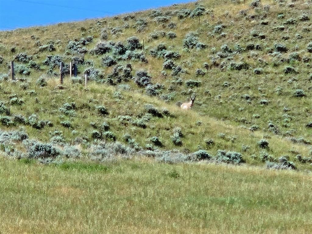 106 Cliff Dr — photo 13 of 14