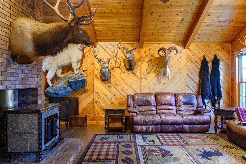 3938 Carter Mountain Dr — photo 7 of 25