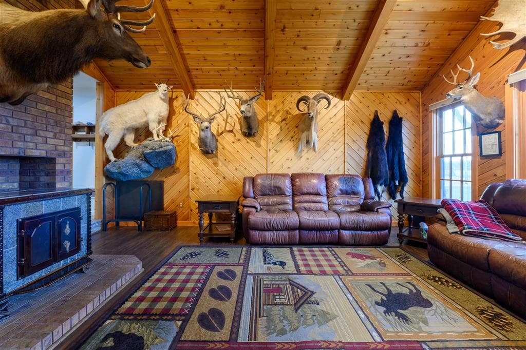 3938 Carter Mountain Dr — photo 8 of 25