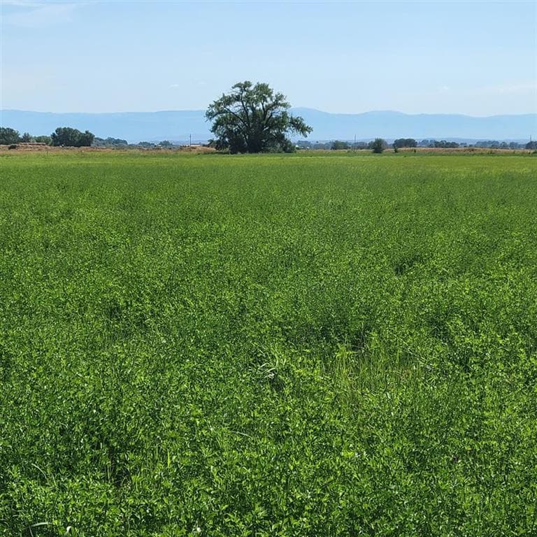 TBD Road 9 photo 1