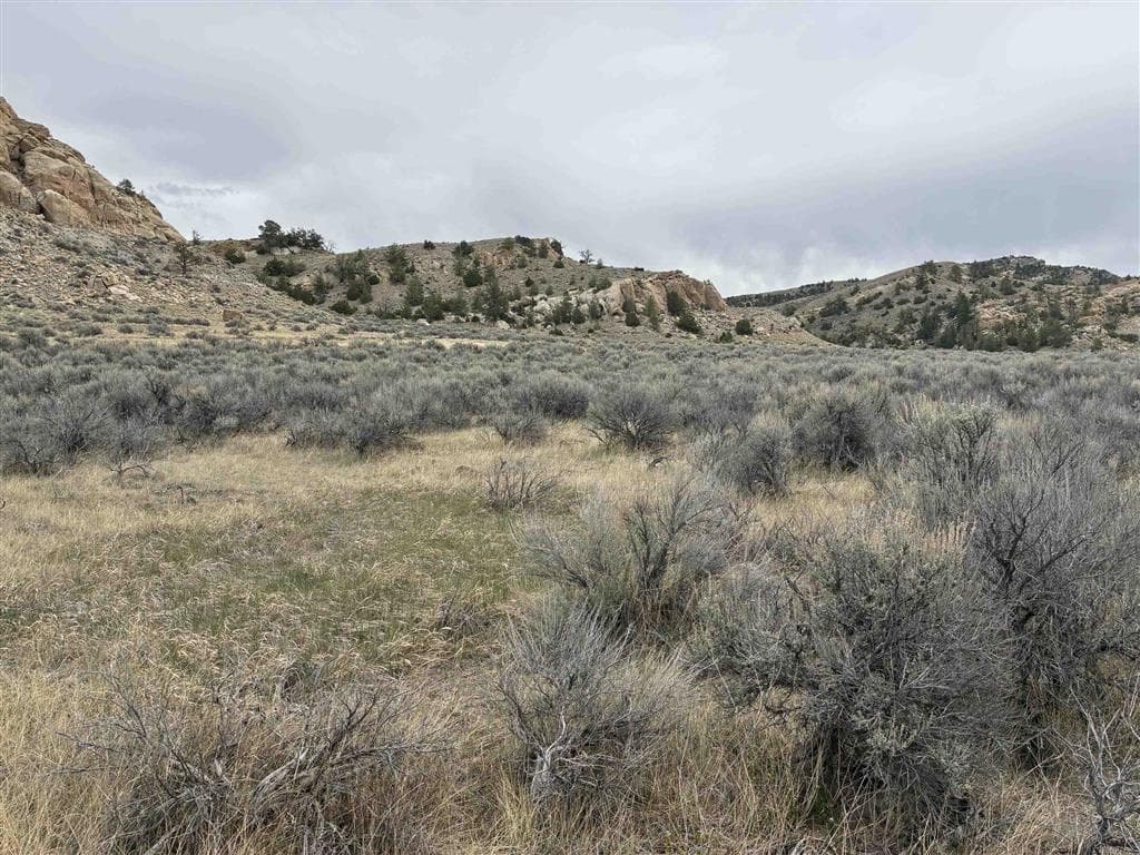 TBD Meeteetse Trails Estates — photo 9 of 13