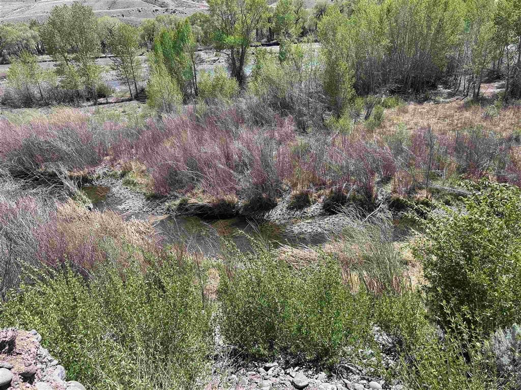 TBD North Fork Hwy — photo 14 of 25