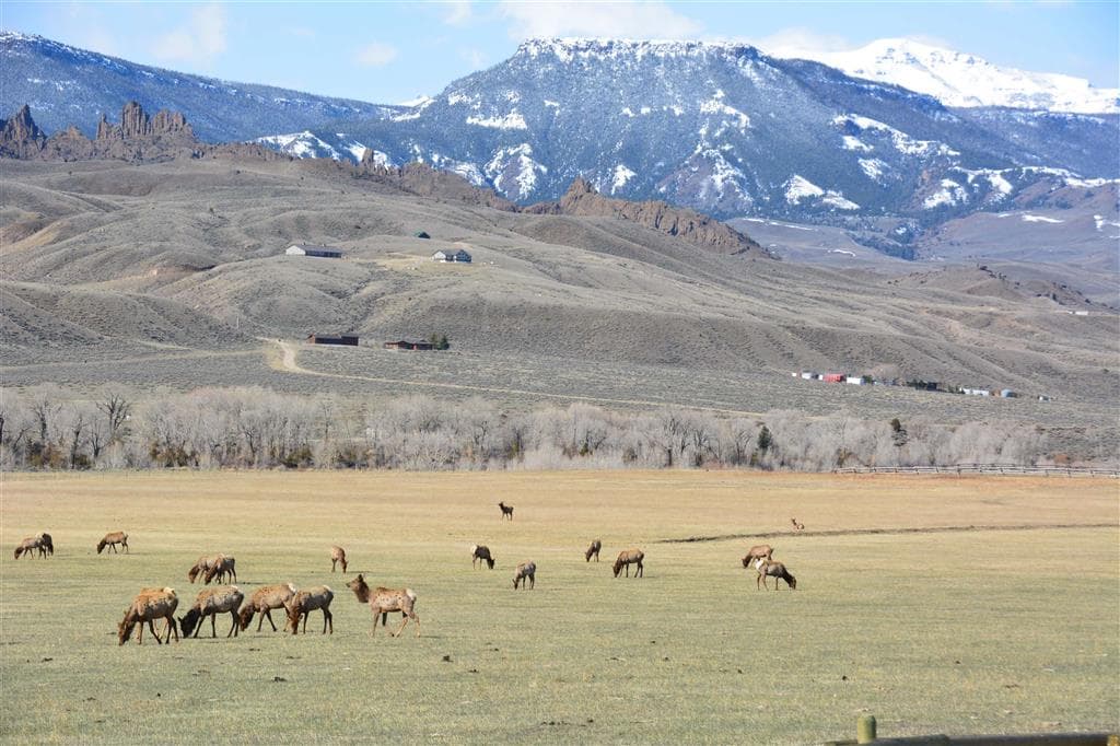 TBD North Fork Hwy — photo 5 of 25