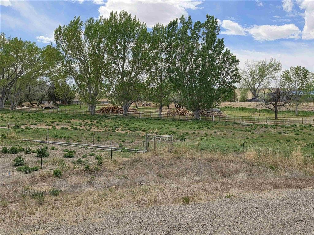 1302 Ten Mile Dr — photo 15 of 25