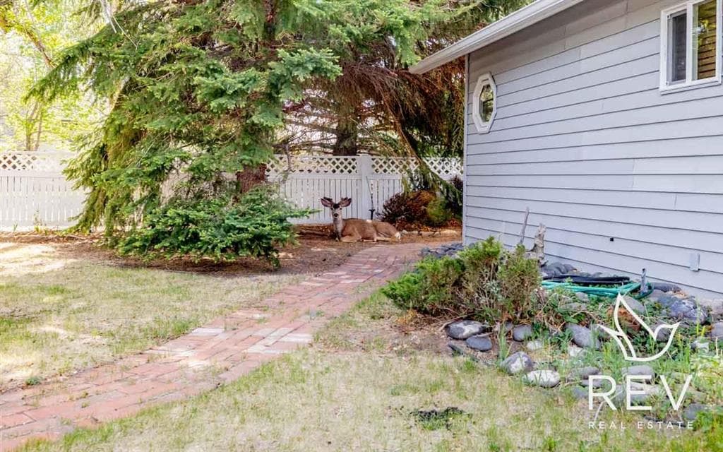 1244 Bleistein Ave — photo 4 of 25