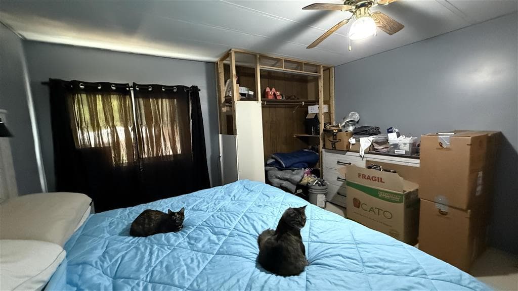 2009 Sage Loop — photo 21 of 22
