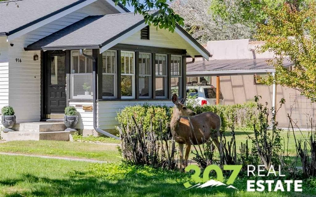 916 Canyon Ave — photo 2 of 25