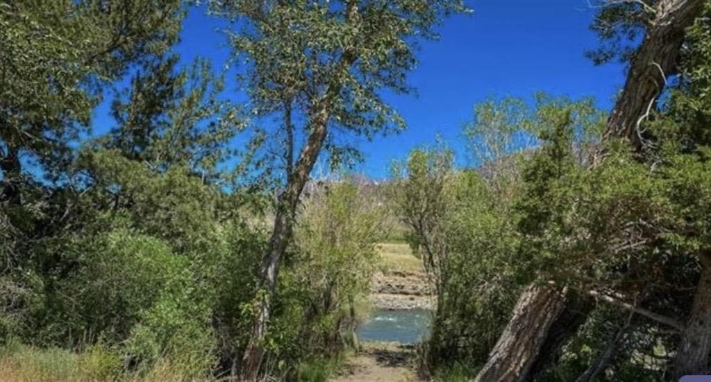 LOT A Trinity Pass — photo 3 of 6