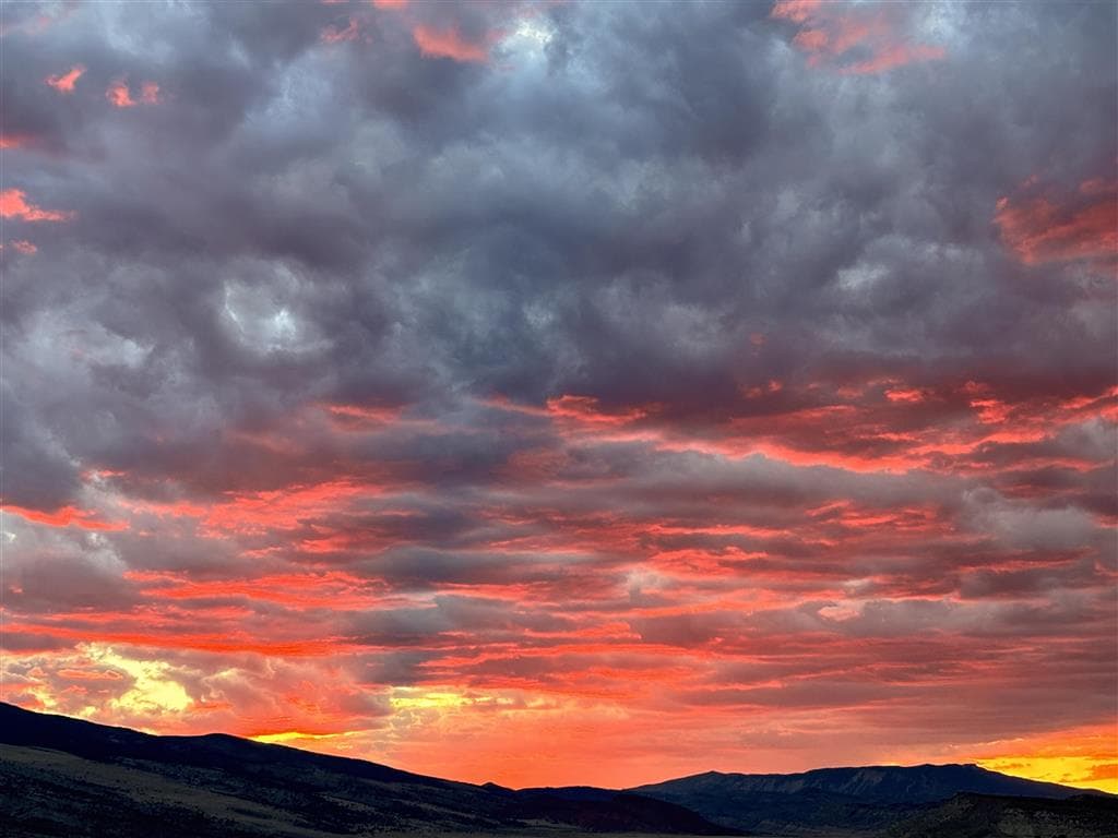 2107 8th St — photo 3 of 25