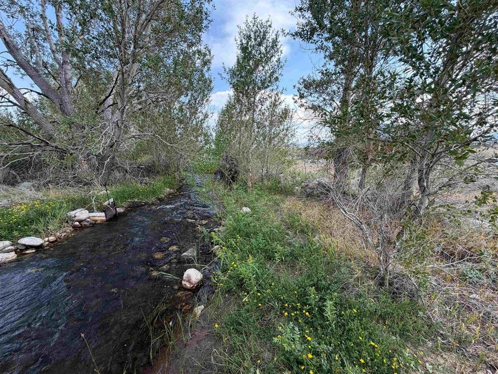 106 Bennett Creek Rd — photo 21 of 25