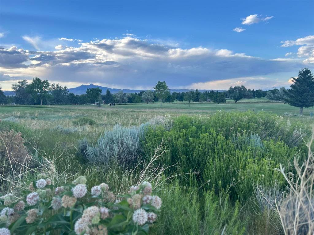 720 Olive Glenn Dr — photo 4 of 8