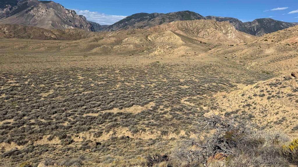TBD Bennett Creek Rd — photo 19 of 25