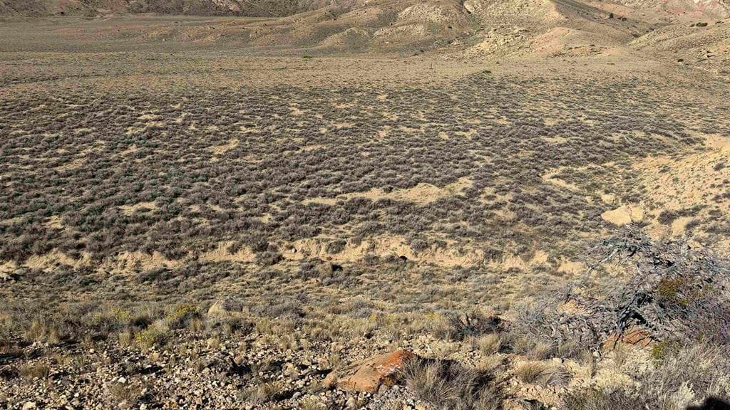 TBD Bennett Creek Rd — photo 20 of 25