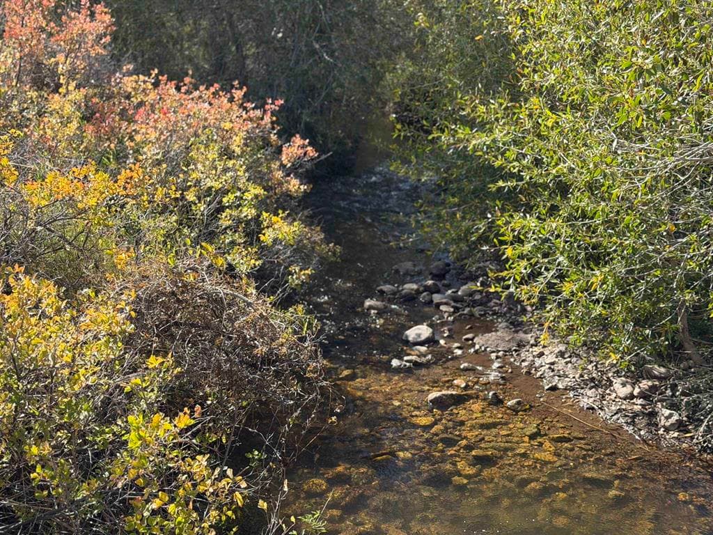 TBD Bennett Creek Rd — photo 6 of 25