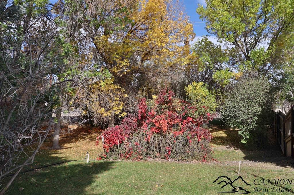 1307 Wyoming Ave — photo 9 of 17