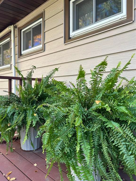1331 Alpine Ave — photo 3 of 25