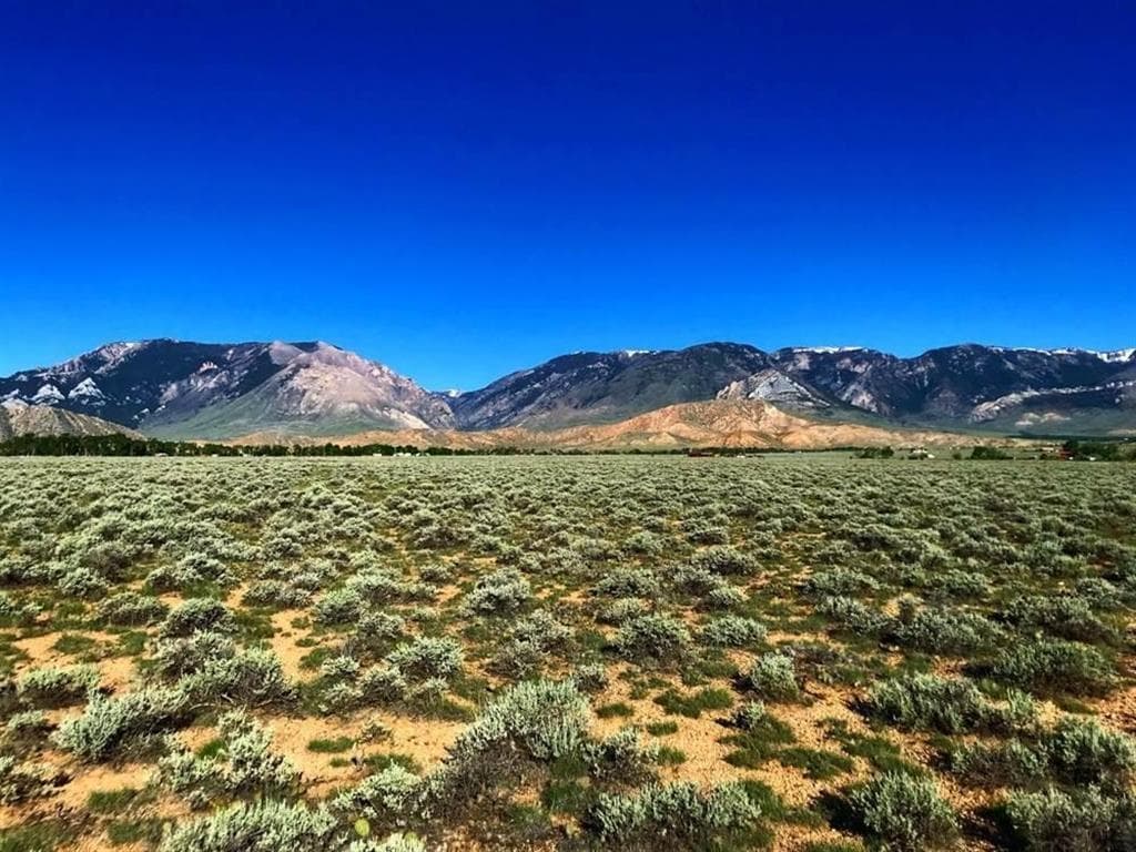 TBD Great Bear Tr photo 1